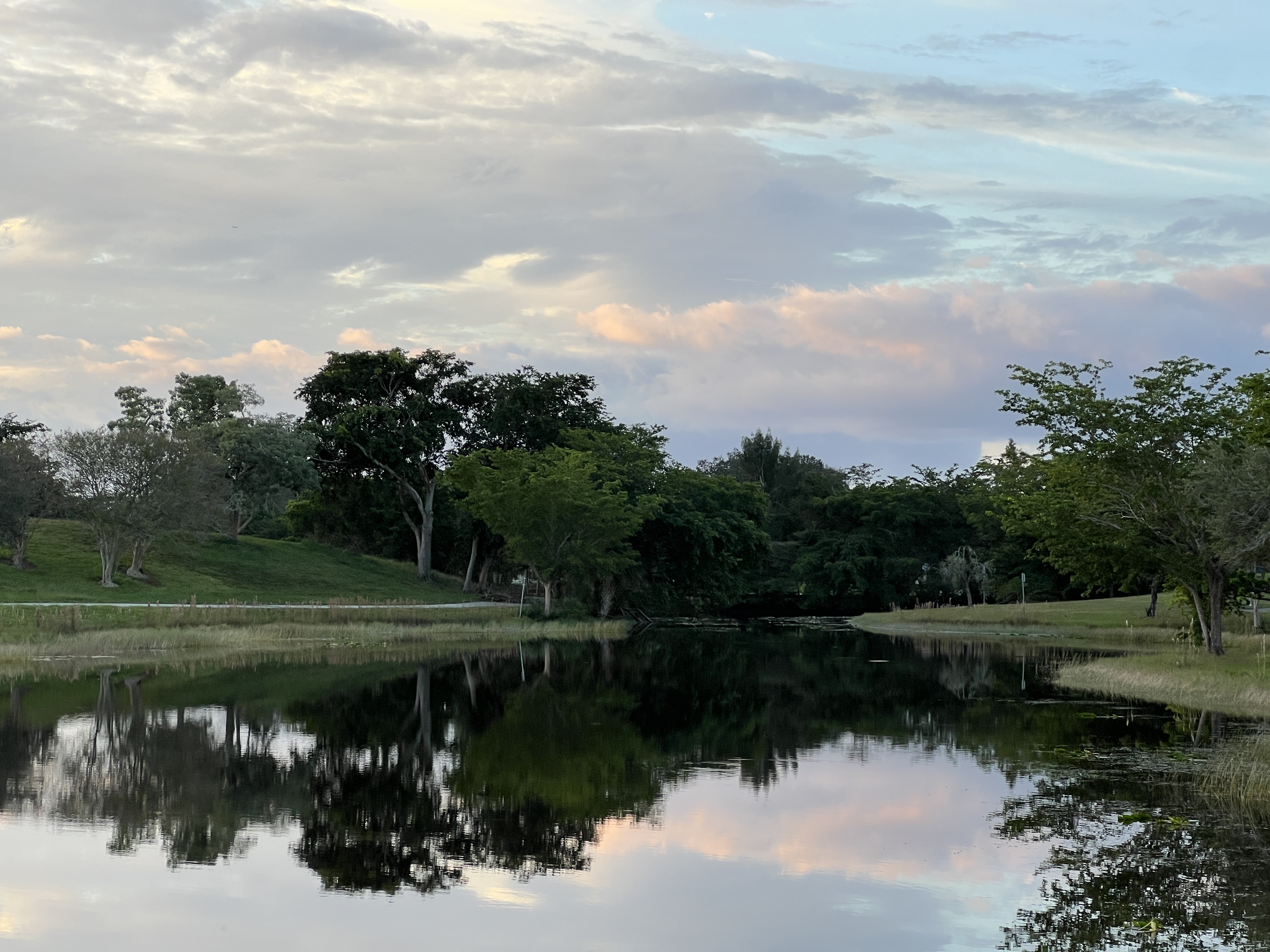 ./2025/12 - Pembroke Pines Wedding/IMG_7621.JPG